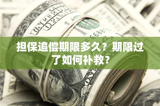 北京担保追偿期限多久？期限过了如何补救？