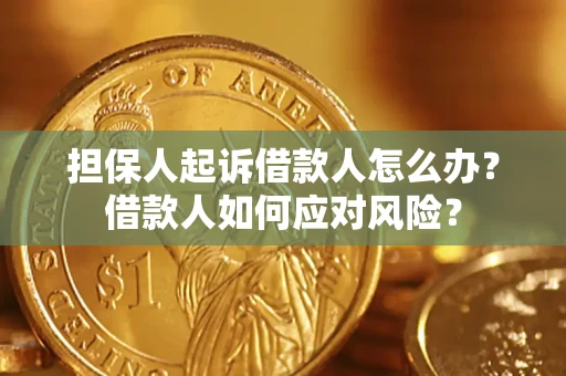 北京担保人起诉借款人怎么办？借款人如何应对风险？