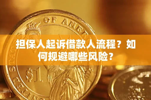 北京担保人起诉借款人流程？如何规避哪些风险？