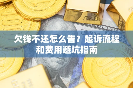 北京欠钱不还怎么告？起诉流程和费用避坑指南